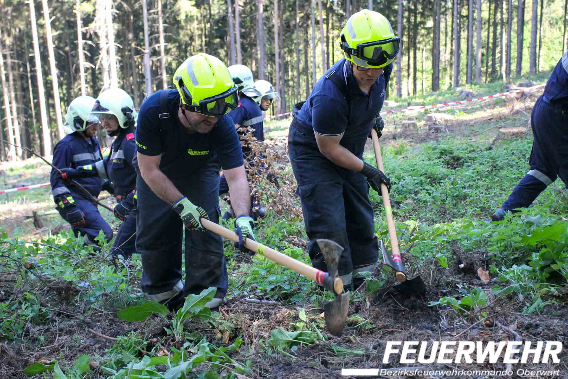mehrere Feuerwehrleute in Schutzkleidung und Helmen arbeiten mit Hacken und Schaufeln an einem bewaldeten Hang, im Vordergrund zwei bückende Einsatzkräfte, im Hintergrund weitere bei ähnlichen Tätigkeiten, unten rechts der Text FEUERWEHR Bezirksfeuerwehrkommando Oberwart